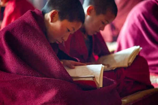 Reading during puja, Thiksey monastery
