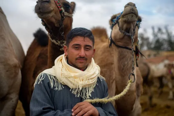 Camel owner